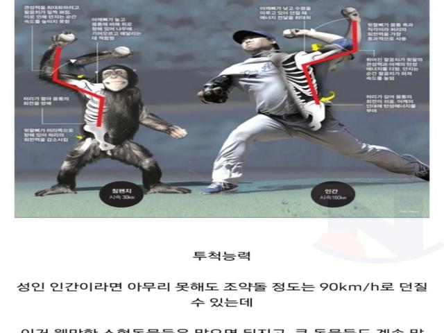 인간이 신체적으로 <strong>동물</strong>보다 우월한 능력