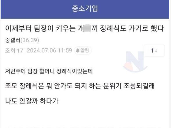 <strong>한국인</strong>이 외국가서 존경심을 얻는 방법.