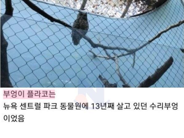 <strong>동물</strong>에 인간감성 대입하면... 얼마나 위험한지 보이는 사례