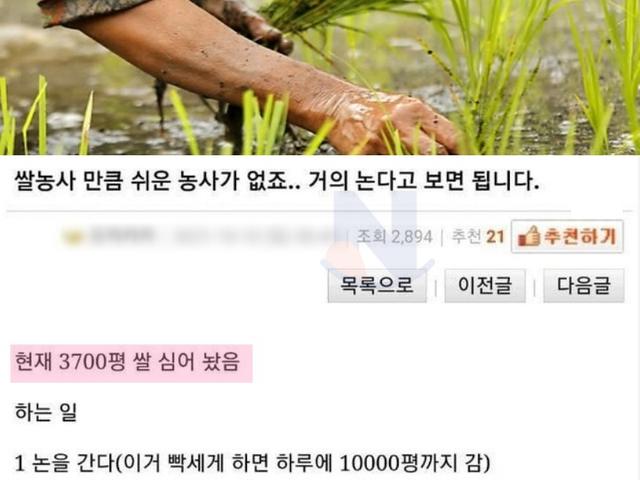<strong>쌀</strong>농사가 너무너무 쉬운 이유