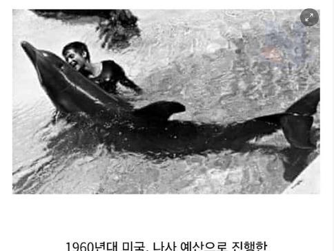 인간여성을 진심으로 <strong>사랑</strong>한 수컷 돌고래