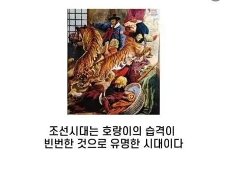 조선 시대 호랑이에 대해 잘못 알고 있는 <strong>점</strong>
