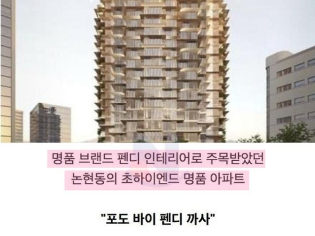 350억이였던 논현동 <strong>펜디</strong>명품아파트 레전드 근황수준