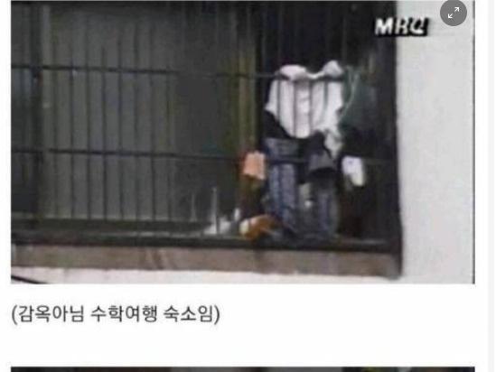 낭만원툴 시절인 80년대 수학<strong>여행</strong> 수준 ㅋㅋㅋㅋ