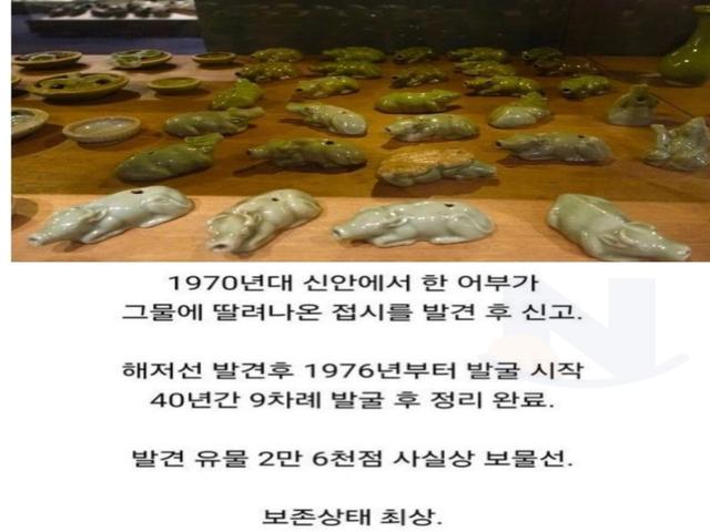 650년만에 <strong>바다</strong>에서 나왔는데 한국만 신난 상황
