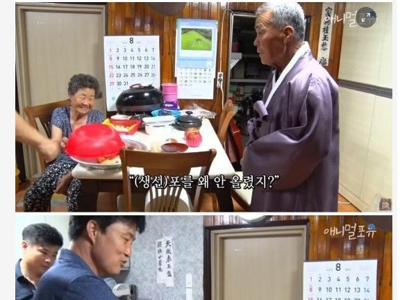 치매에 걸린 아내와 <strong>고양이</strong>들의 우정