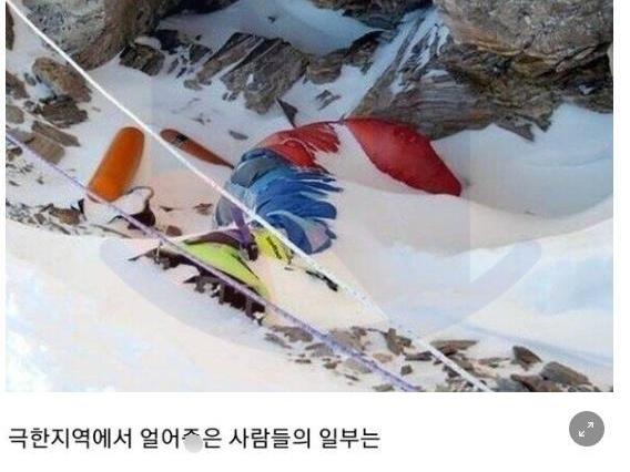 동사한 일부 시신에서 발견되는 특이한<strong>점</strong>.
