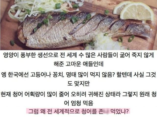 세계 많은<strong>사람</strong>들을 구한 물고기수준