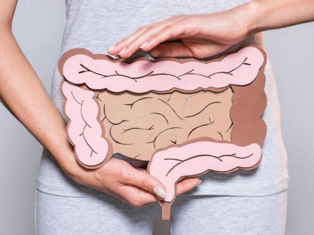 속 편하게 사는 법, 단계별 소화 완전 정복