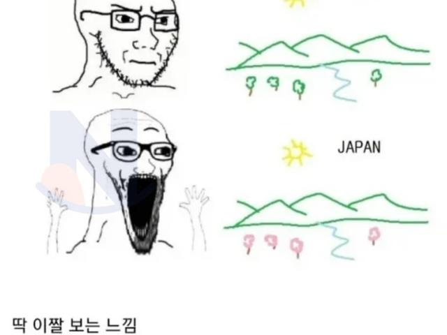 커뮤에 <strong>국내</strong><strong>여행</strong>간다고 하면 글 반응 특징들ㄷㄷ