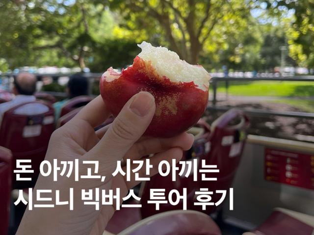 시드니 빅버스투어 100% 활용 후기 :: 노선, <strong>티켓</strong>, 타는곳 총정리
