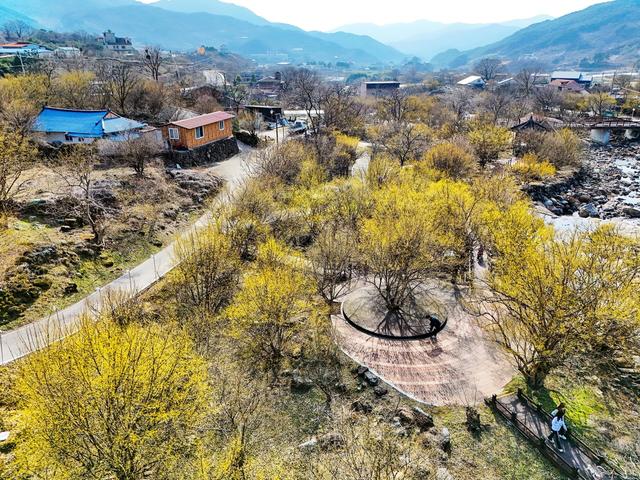 지리산 봄 마중, 구례 산수유 길