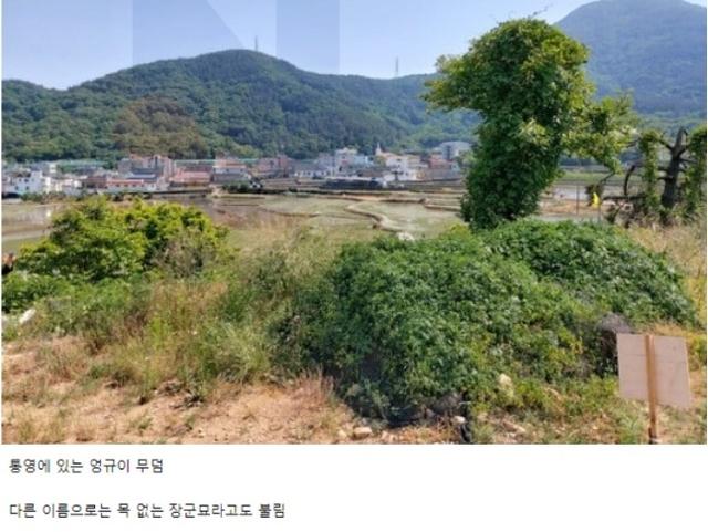 발굴하면 대박 가능<strong>성</strong>이 높다는 한국 무덤