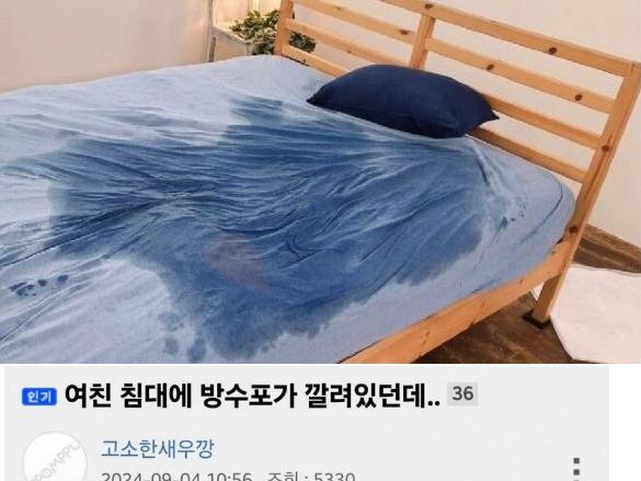 <strong>여친</strong> 침대에 방수포가 깔려있던 이유 ㄷ ㄷ