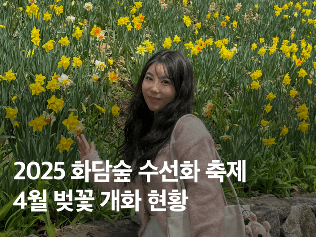 화담숲 4월에는 어떤 풍경? 수선화 <strong>벚꽃</strong> 실시간 후기