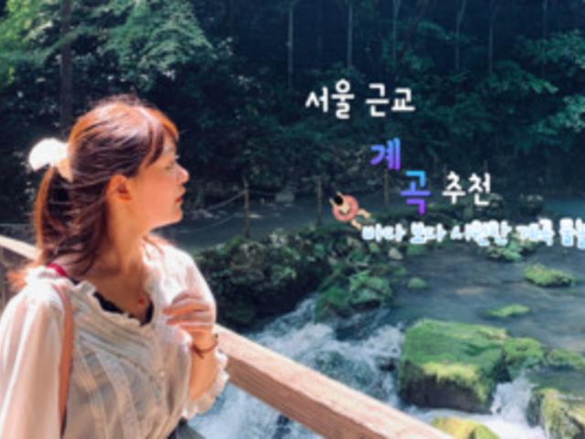 계곡 추천 TOP 5 여름 물놀이 하기 좋은 곳은 여기로!