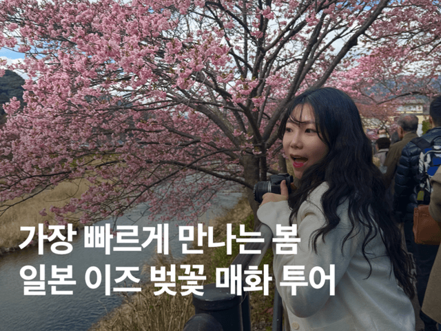 일본 벚꽃 여행 :: 핑크색 <strong>봄</strong> 잔뜩 만끽한 도쿄 근교 당일치기 후기
