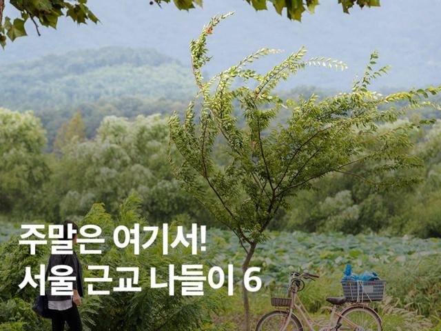 주말은 여기서! <strong>서울</strong> 근교 나들이 BEST 6