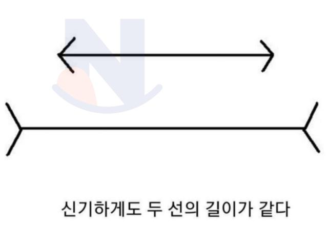 <strong>신기</strong>하게도 두선의 길이는 같다