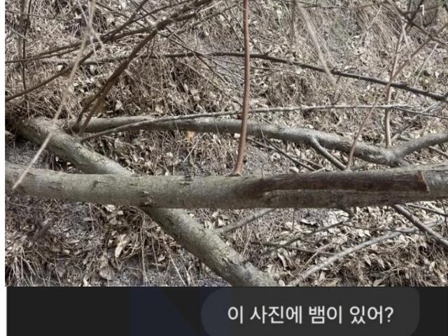주작하다가 딱 걸린 <strong>챗</strong><strong>지피티</strong>ㅋㅋㅋ