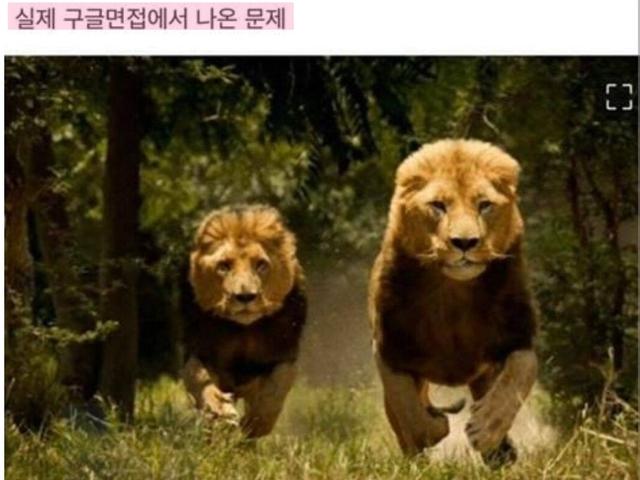 실제 <strong>구글</strong> 면접에 나온 문제수준...ㄷㄷ