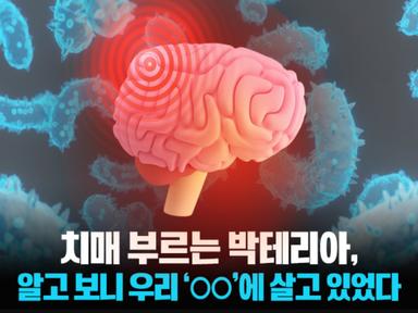치매 부르는 박테리아, 알고 보니 우리 '○○'에 살고 있었다