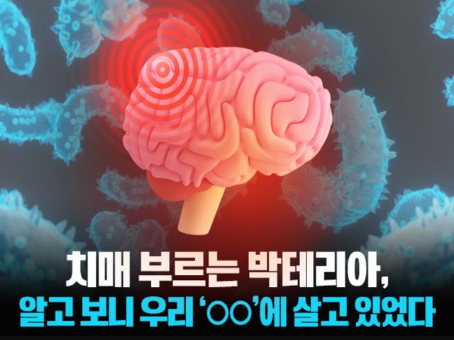 치매 부르는 박테리아, 알고 보니 우리 '○○'에 살고 있었다