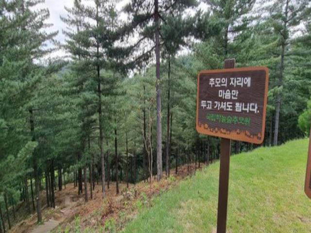 구본무 전 LG<strong>회장</strong>이 떠나면서 박수 받은 소박한 '수목장'