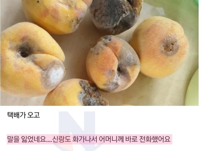 시어머니가 며느리한테 보낸 썩은 <strong>복숭아</strong>