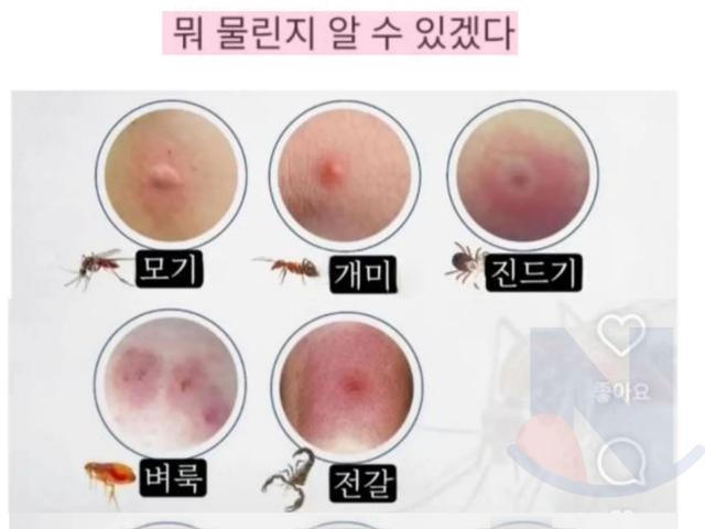 이제 뭐 물린지 <strong>알</strong> 수 있겠다.jpg