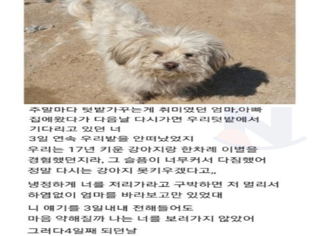 <strong>부모님</strong> 텃밭에서 시작된 인연 .jpg
