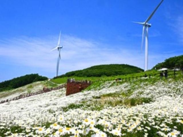 "이게 하루 만에 가능해요?"...  KTX 연계 당일치기 시티투어