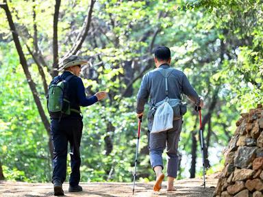 "4050대가 걷자마자 반한 2km 명품길"… 5월 새단장으로 돌아온 힐링 명소