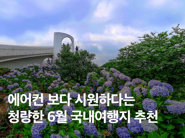 청량감 가득한 6월 국내 여행지 추천! 양평, 양양, 제주, 울릉도