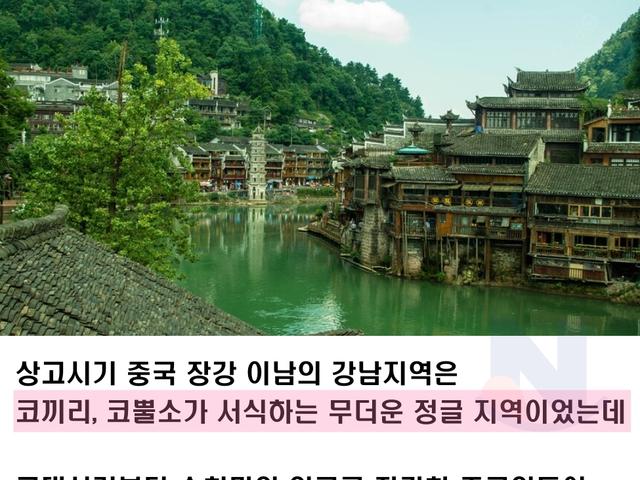 인력을 갈아 넣으면 실패란 없다는 걸 보여준 <strong>사례</strong>