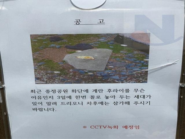 <strong>한국</strong>에서 발견된 SCP