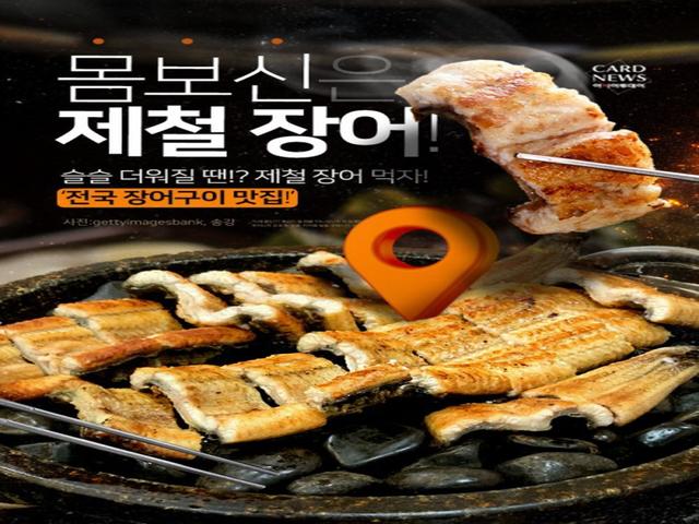 몸보신은 제철 장어! '전국 장어구이 맛집!'