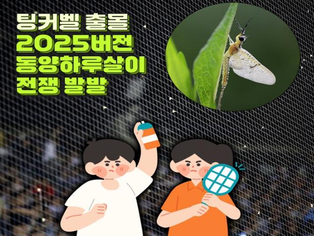 잠실 팅커벨 출몰…2025버전 동양하루살이 전쟁 발발