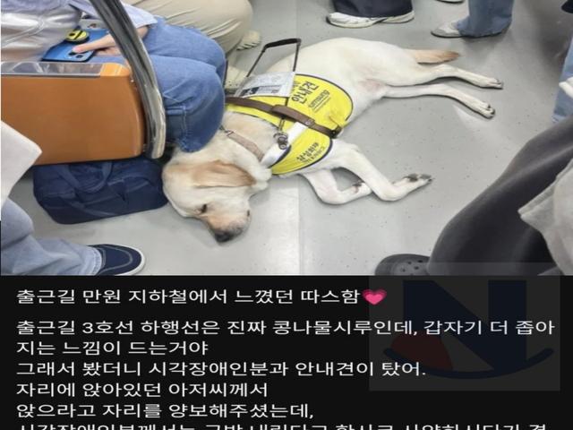출근길 만원 <strong>지하철</strong>에서 느꼈던 따스함.jpg