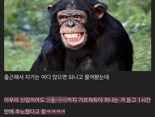 아는 형 1<strong>시간</strong>만에 회사 추노함 ㅋㅋㅋㅋ