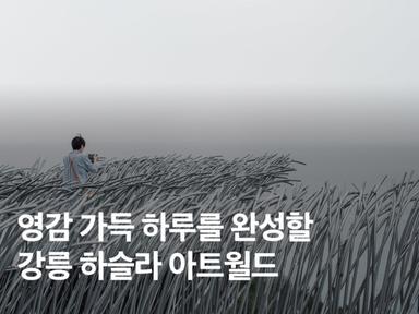 강릉 놀거리 추천! 하슬라아트월드 할인 예약 꿀팁 레스토랑 총정리
