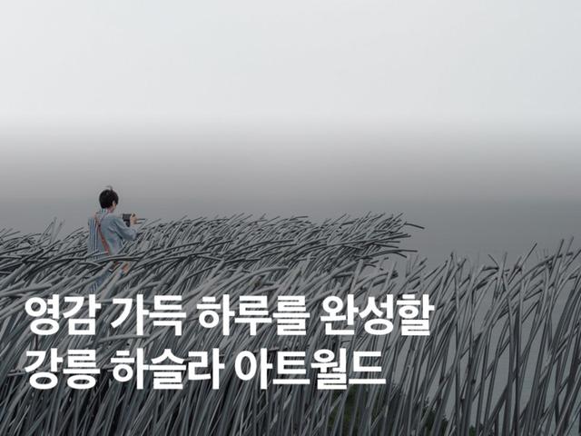 강릉 놀거리 추천! <strong>하슬라</strong><strong>아트</strong><strong>월드</strong> 할인 예약 꿀팁 레스토랑 총정리