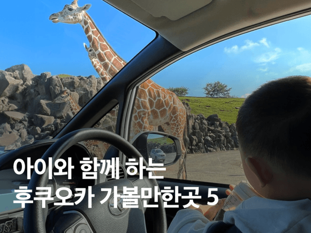 후쿠오카 아이랑 <strong>가볼만한곳</strong> BEST 5 (마린월드, 벳푸 아프리칸 사파리 등)