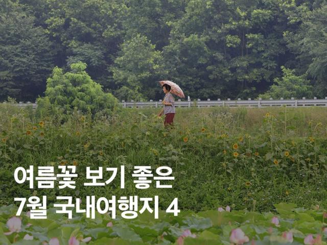 여름꽃 보기 좋은 7월 <strong>국내</strong>여행지 BEST 4
