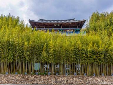 지구마불 세계여행 3 따라 담양 남도여행 코스 :: 죽녹원, 관방제림, 담빛예술창고, 메타프로방스