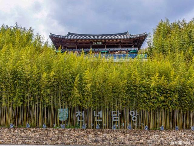 지구마불 세계<strong>여행</strong> 3 따라 담양 남도<strong>여행</strong> 코스 :: 죽녹원, 관방제림, 담빛예술창고, 메타프로방스