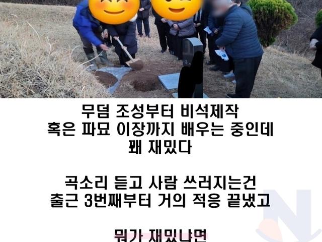 무덤일 6개월차 생생후기...ㅎㄷㄷ