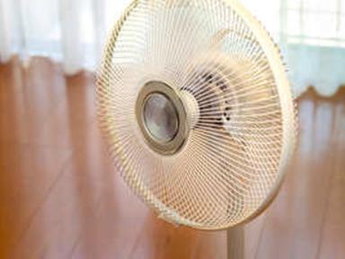 “선풍기 vs 서큘레이터 vs 제습기?”…뭐부터 사야할지 고민된다면