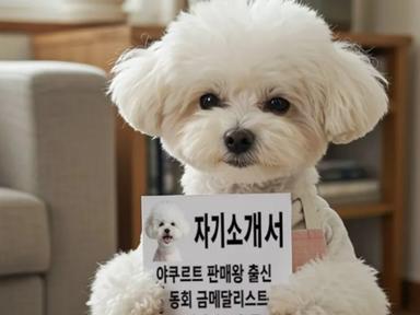 청소하는 비숑·요리하는 진돗개…AI 영상, 나도 해봐?