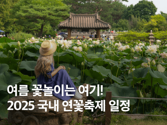 여름 꽃놀이는 여기! 2025 국내 연꽃축제 <strong>일정</strong>